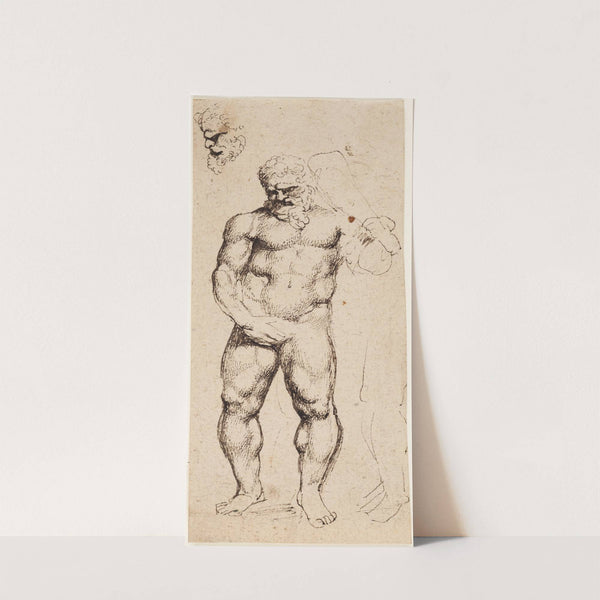 Hercules by Peter Paul Rubens