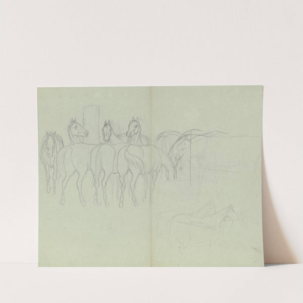 Herd of horses, grazing by Ferdinand Fellner