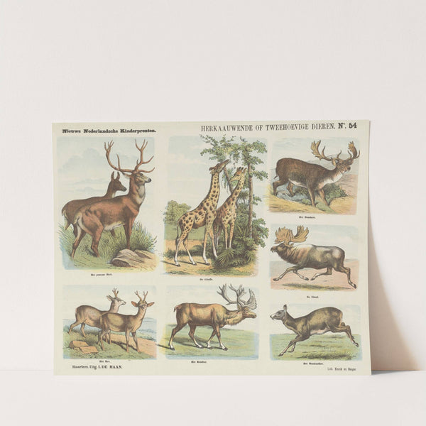 Herkaauwende of tweehoevige dieren (1875-1919) by Emrik & Binger