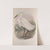 Herodias garzetta. Little Egret. (1862-1873) by John Gould