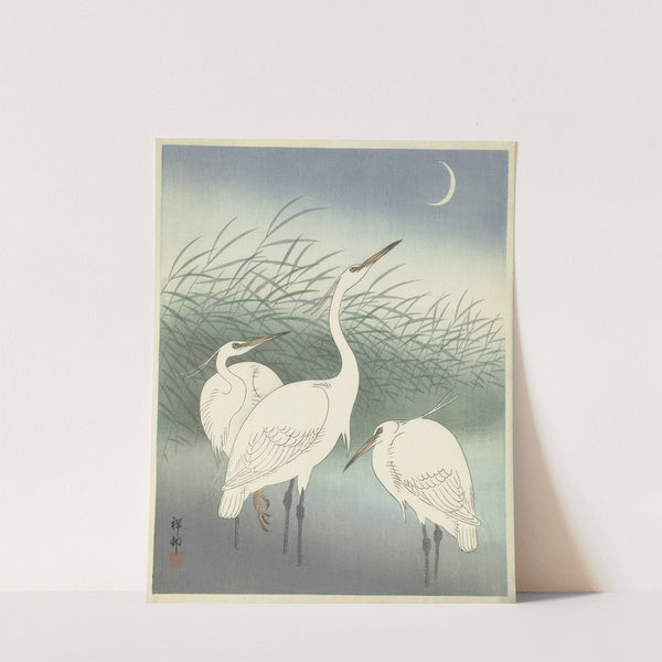 Herons in shallow water by Ohara Koson
