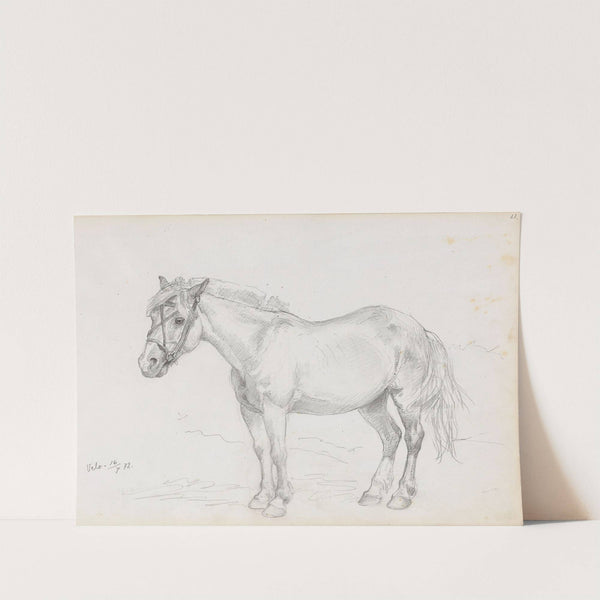 Hest, Velo (1872) by Adolph Tidemand