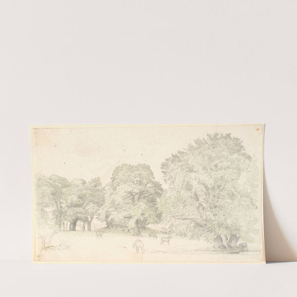 Heste på en lysning ved store egetræer. Sandsynligvis Dyrehaven (1872 - 1873) by P. C. Skovgaard