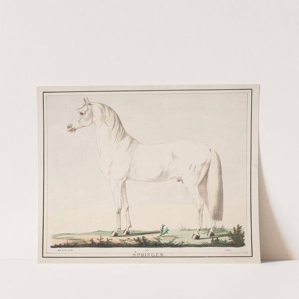 Hesten Springer by Christian David Gebauer