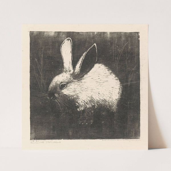 Het konijn (1892-1940) by Henri Verstijnen