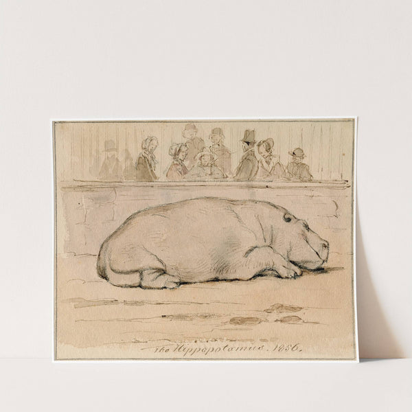 Het nijlpaard in de Engelse dierentuin by Pieter van Loon