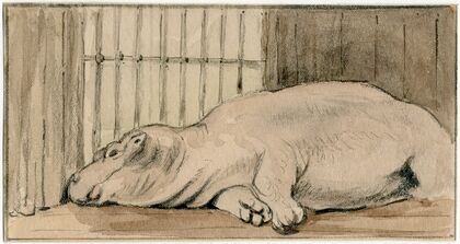 Het nijlpaard in de Engelse dierentuin (1806)