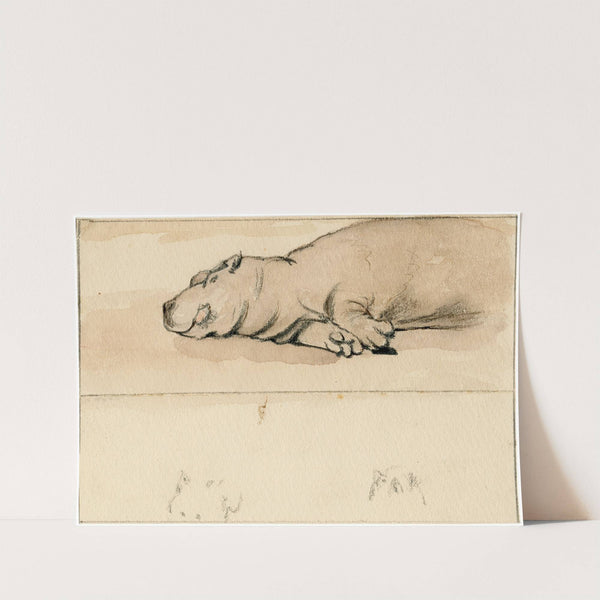 Het nijlpaard in de Engelse dierentuin by Pieter van Loon