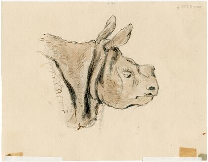 Het nijlpaard in de Engelse dierentuin