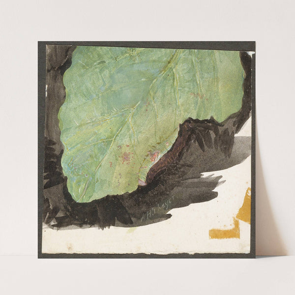 Heterocampa Biundata, Walker, study for book Concealing Coloration in the Animal Kingdom by Abbott Handerson Thayer