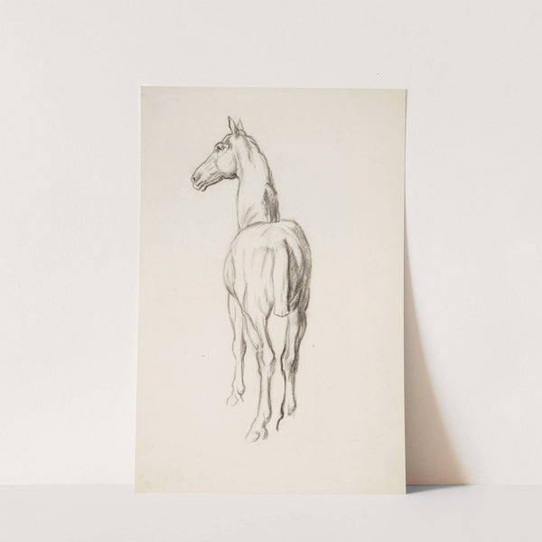 Hevosharjoitelma by Alfred William Finch