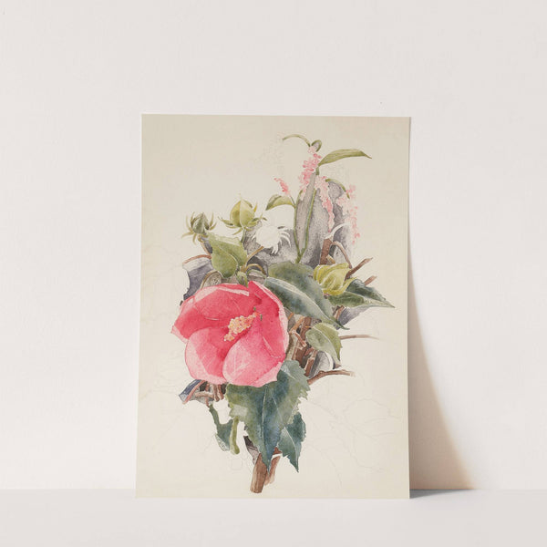 Hibiscus (1933) by Charles Demuth