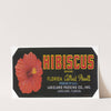Hibiscus Brand Florida Citrus Fruit Label (1930-1950)