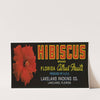 Hibiscus Brand Florida Citrus Fruit Label (1930-1950)