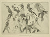Hidatsa Dancers bearing exploit marks