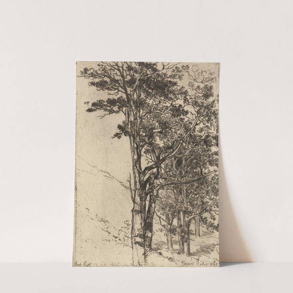 High Park by Francis Seymour Haden