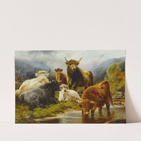 Highland cattle by Robert Watson