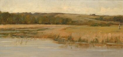 Hill And Marshland