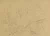 Hill overgrown with trees and shrubs; verso (Boat sailing on a mountain lake_1880 - 1920)