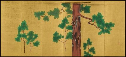 Hinoki Cypress Tree