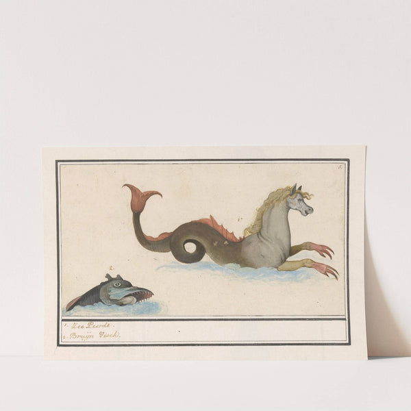 Hippocampus en vis (fantasiedieren) 1. Zee-Peerdt 2. Bruijn Visch (1596-1610) by Anselmus Boëtius de Boodt