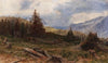Hirsch in weiter Landschaft mit Windbruch