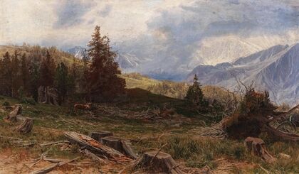 Hirsch in weiter Landschaft mit Windbruch
