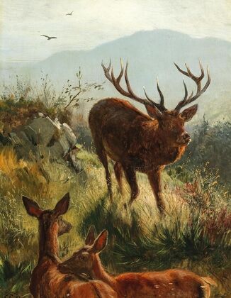 Hirsch und Hirschkühe am Hügel