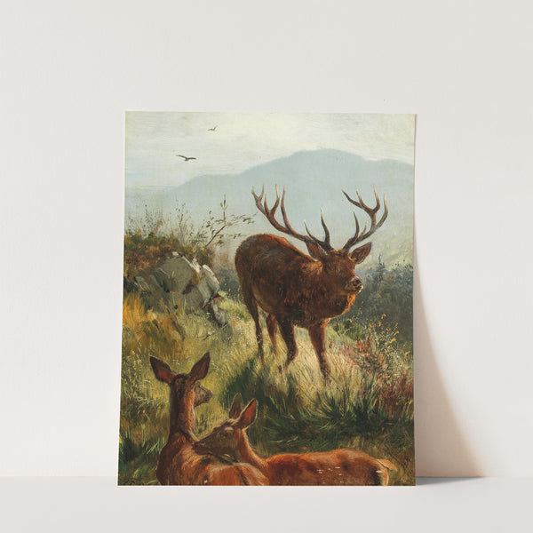 Hirsch und Hirschkühe am Hügel by Carl Friedrich Deiker