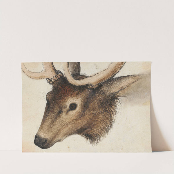 Hirschkopf by Hans Hug Kluber