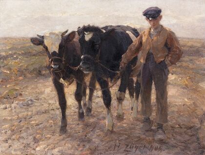 Hirte mit Jungrindern auf der Heide