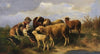 Hirtenjunge mit Schafen (1870)