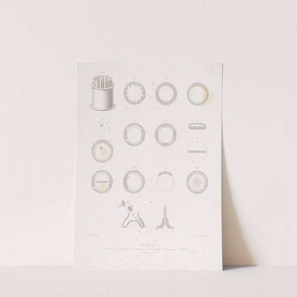 Histoire des arts industriels au moyen âge et à l’époque de la renaissance Pl.31 (1864) by Joseph Rose Lemercier