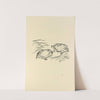 Histoires naturelles Pl 10 by Pierre Bonnard