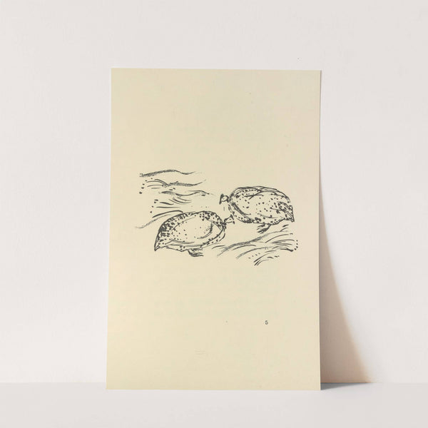 Histoires naturelles Pl 10 by Pierre Bonnard