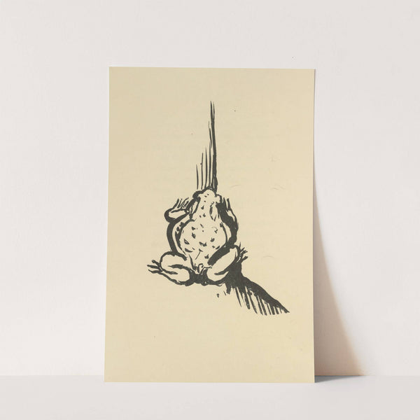 Histoires naturelles Pl 34 by Pierre Bonnard