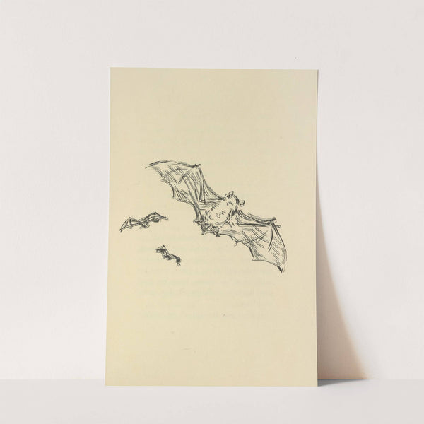 Histoires naturelles Pl 53 by Pierre Bonnard