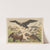 Historja naturalna ptakow (Natural history of birds) Pl.01 (1900) by Gotthilf Heinrich von Schubert