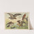 Historja naturalna ptakow (Natural history of birds) Pl.02 (1900) by Gotthilf Heinrich von Schubert