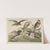 Historja naturalna ptakow (Natural history of birds) Pl.03 (1900) by Gotthilf Heinrich von Schubert