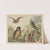 Historja naturalna ptakow (Natural history of birds) Pl.05 (1900) by Gotthilf Heinrich von Schubert
