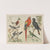 Historja naturalna ptakow (Natural history of birds) Pl.06 (1900) by Gotthilf Heinrich von Schubert
