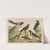 Historja naturalna ptakow (Natural history of birds) Pl.10 (1900) by Gotthilf Heinrich von Schubert