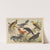 Historja naturalna ptakow (Natural history of birds) Pl.11 (1900) by Gotthilf Heinrich von Schubert