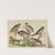 Historja naturalna ptakow (Natural history of birds) Pl.15 (1900) by Gotthilf Heinrich von Schubert
