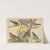 Historja naturalna ptakow (Natural history of birds) Pl.16 (1900) by Gotthilf Heinrich von Schubert