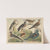 Historja naturalna ptakow (Natural history of birds) Pl.21 (1900) by Gotthilf Heinrich von Schubert
