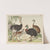Historja naturalna ptakow (Natural history of birds) Pl.24 (1900) by Gotthilf Heinrich von Schubert