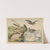 Historja naturalna ptakow (Natural history of birds) Pl.28 (1900) by Gotthilf Heinrich von Schubert
