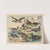 Historja naturalna ptakow (Natural history of birds) Pl.29 (1900) by Gotthilf Heinrich von Schubert